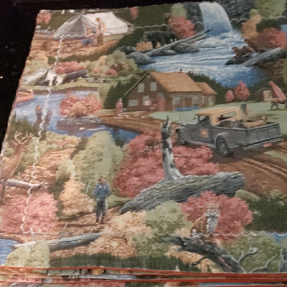 Scenic Print Placemats Set - Picture 3 of 4